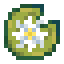 Big Flower Lily Pad icon