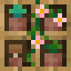 Botanical Oak Cubed Bookshelf icon