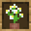 Botanical Oak Large Bookshelf icon