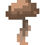 Button Brown Mushroom icon