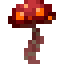 Button Crimson Fungus icon
