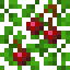 Cherry Acacia Leaves icon
