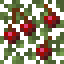 Cherry Birch Leaves icon