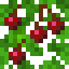 Cherry Jungle Leaves icon