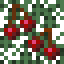 Cherry Spruce Leaves icon
