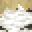 Damaged Birch Log icon