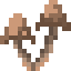 Double Brown Mushroom icon
