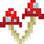 Double Red Mushroom icon
