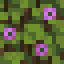 Flowering Dark Oak Log icon