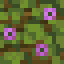 Flowering Jungle Log icon