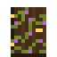 Fortified Dark Oak Door icon