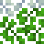 Frosted Acacia Leaves icon