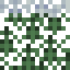 Frosted Spruce Leaves icon