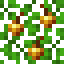 Golden Apple Acacia Leaves icon