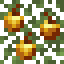 Golden Apple Birch Leaves icon