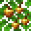 Golden Apple Dark Oak Leaves icon