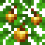 Golden Apple Oak Leaves icon
