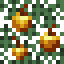 Golden Apple Spruce Leaves icon