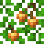Golden Cherry Acacia Leaves icon