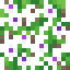 Ivy Vine icon