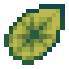 Leaf Lily Pad icon
