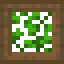 Leafy Spruce Trapdoor icon