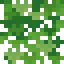 Lush Vine icon