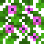 Magenta Flower Dark Oak Leaves icon