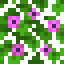 Magenta Flower Oak Leaves icon