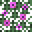 Magenta Flower Spruce Leaves icon