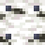 Nailed Birch Log icon