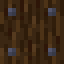 Nailed Spruce Log icon