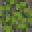 Overgrown Acacia Log icon