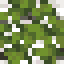 Overgrown Birch Log icon