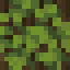 Overgrown Dark Oak Log icon