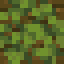 Overgrown Jungle Log icon