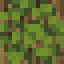 Overgrown Oak Log icon