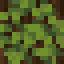 Overgrown Spruce Log icon