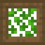 Overgrown Spruce Trapdoor icon