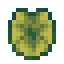 Paddle Lily Pad icon