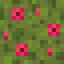Red Moss Block icon