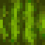 Ripe Melon icon