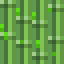 Sugarcane Dried Kelp Block icon