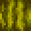Swampy Melon icon