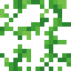 Thin Vine icon