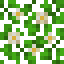 White Flower Acacia Leaves icon