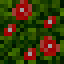 Leaves - Red Rose icon