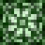 Lime Wool - Legacy icon