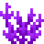 Anchor Coral icon