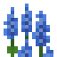 Blue Lupine icon